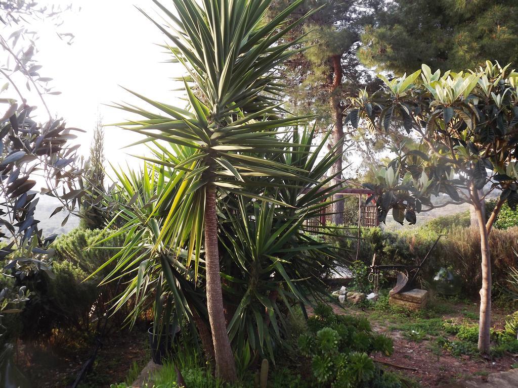 Casa Del Carrubo Βίλα Βιέστε Εξωτερικό φωτογραφία