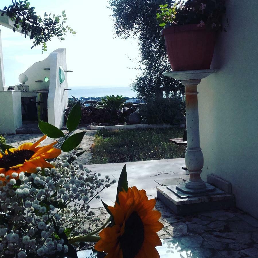 Casa Del Carrubo Βίλα Βιέστε Εξωτερικό φωτογραφία
