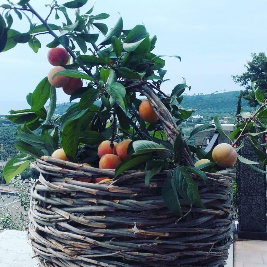 Casa Del Carrubo Βίλα Βιέστε Εξωτερικό φωτογραφία